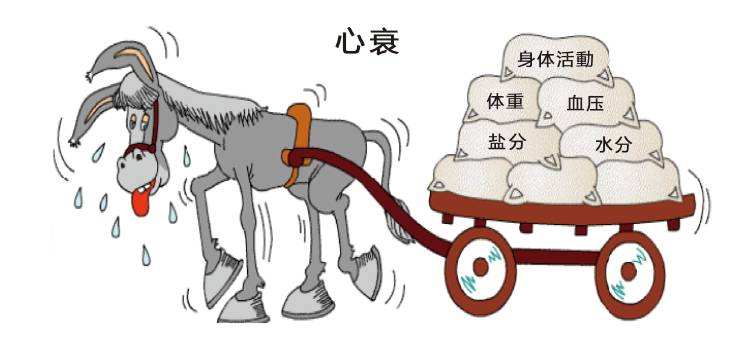 心衰,心力衰竭,心力衰竭的症状,心脏,呼吸困难,心功能,高血压,博声