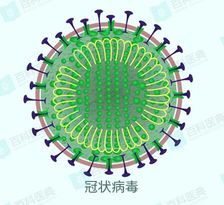 新型冠状病毒
